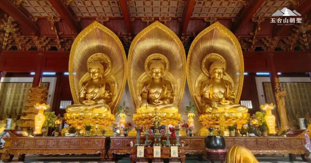 這張圖片展示了五台山普壽寺（Pushou Temple）內的三世佛殿，殿內供奉三尊金色佛像，象徵過去、現在與未來三世佛。佛像金光閃耀，背後裝飾著精緻的圓形金光背屏，顯示出莊嚴神聖的氛圍。殿堂內部雕刻華麗，屋頂以傳統木結構呈現精細工藝，供桌上擺滿供品、燈燭與佛教法器，展現出佛法的莊嚴與寧靜。普壽寺作為五台山的重要寺廟之一，是朝聖者祈願與修行的聖地。