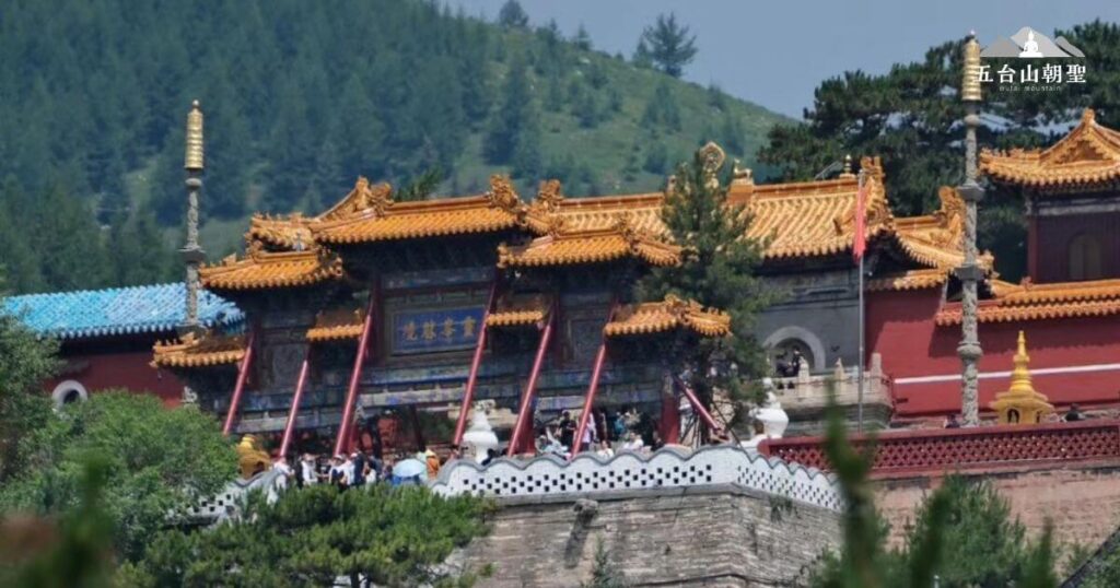 這張照片展現了五台山著名的佛教建築群，金黃色琉璃瓦屋頂在陽光下閃耀，搭配紅色牆體，營造莊嚴神聖的氛圍。寺廟前方有大量朝聖者與遊客，顯示這裡是信仰與文化的重要聖地。周圍的蒼翠松林襯托出寺廟的寧靜與神聖，遠處的佛塔與旗幟象徵佛法的傳承與莊嚴。這裡是佛教徒重要的修行與朝聖之地，每年吸引大量信眾與遊客前來參拜。
