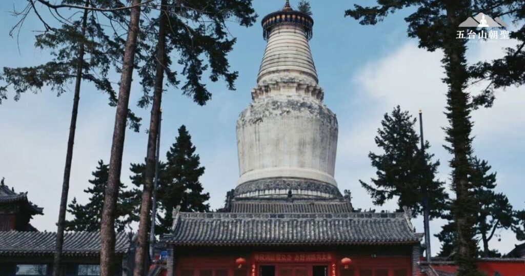 這座宏偉的佛塔是五台山著名的白塔,矗立於群山環繞之中,象徵著佛法的純淨與智慧。白塔周圍環繞著高聳的松樹,在藍天襯托下顯得更加莊嚴神聖。這座佛塔不僅是五台山的重要地標,也是朝聖者和遊客來到此地必訪的景點之一。每年,無數信眾會前來繞塔祈福,感受這片佛教聖地的寧靜與祥和。