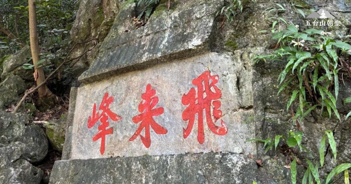 這張圖片展示了位於浙江省杭州市的飛來峰（Feilaifeng）石刻，石刻上以紅色字體寫著「峰來飛」。飛來峰是靈隱寺的重要景點之一，擁有著名的佛教石刻，這些雕刻與周圍的自然景觀相融合，營造出一個神聖的氛圍。這裡的石刻歷史悠久，吸引了無數遊客和信徒來此參拜與欣賞。
