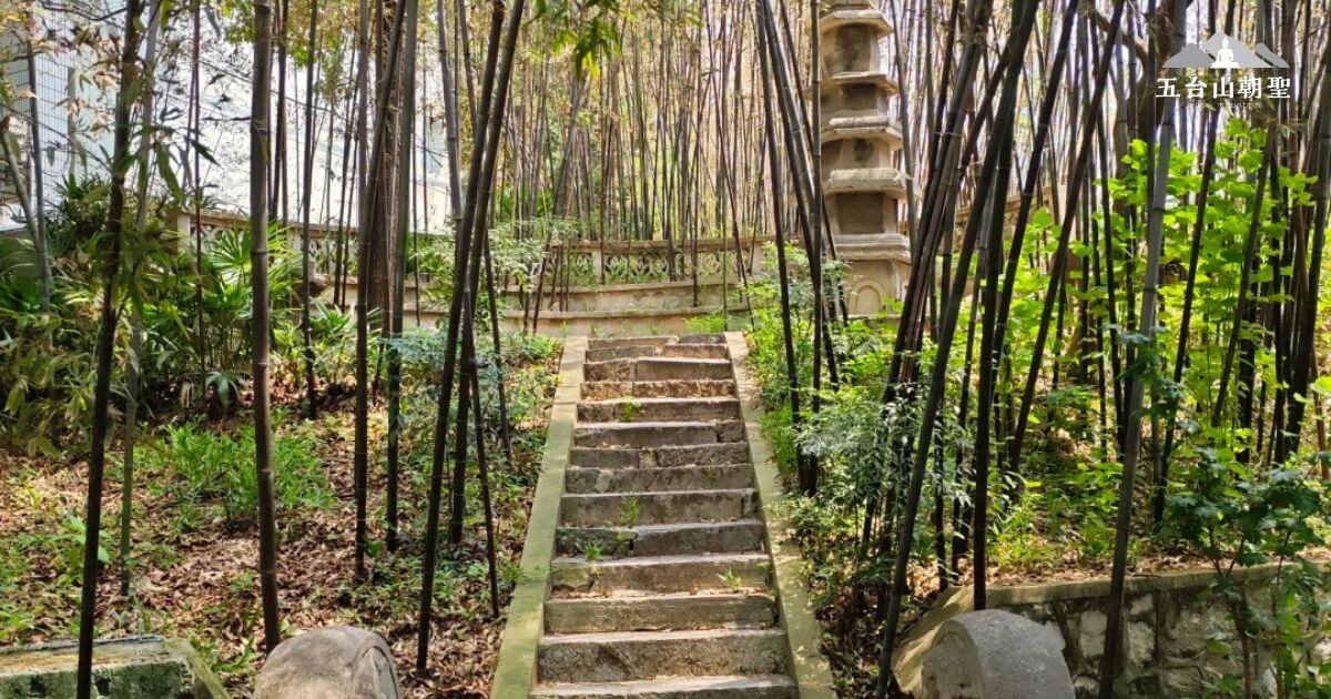 這張圖片展示了紫竹林（Purple Bamboo Forest）中的幽靜景象。林間步道蜿蜒上升，周圍被高聳的竹子圍繞，光線透過竹葉洒落在石階上。遠處的石塔和綠意盎然的植物為這片自然景色增添了幾分歷史與寧靜的氛圍。