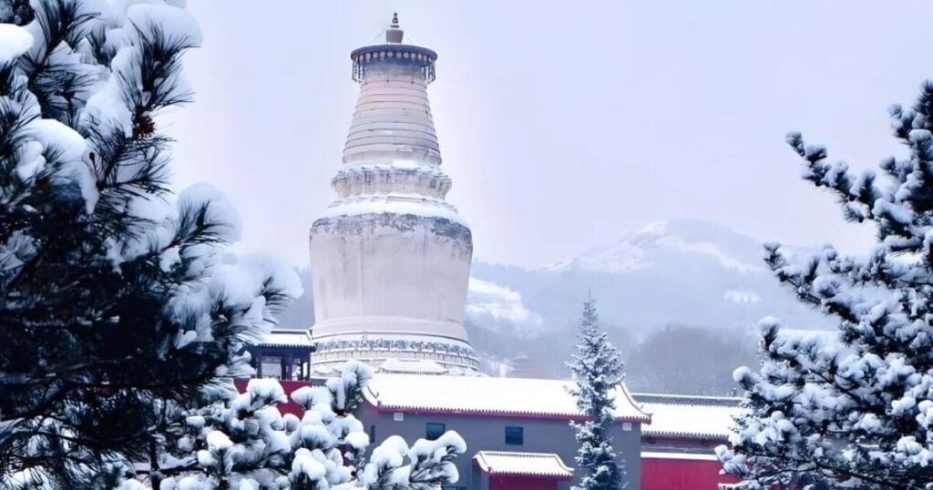 冬季積雪覆蓋下的五台山塔院寺白塔，周圍松樹枝頭掛滿白雪，背景是遠山與藍灰色天空